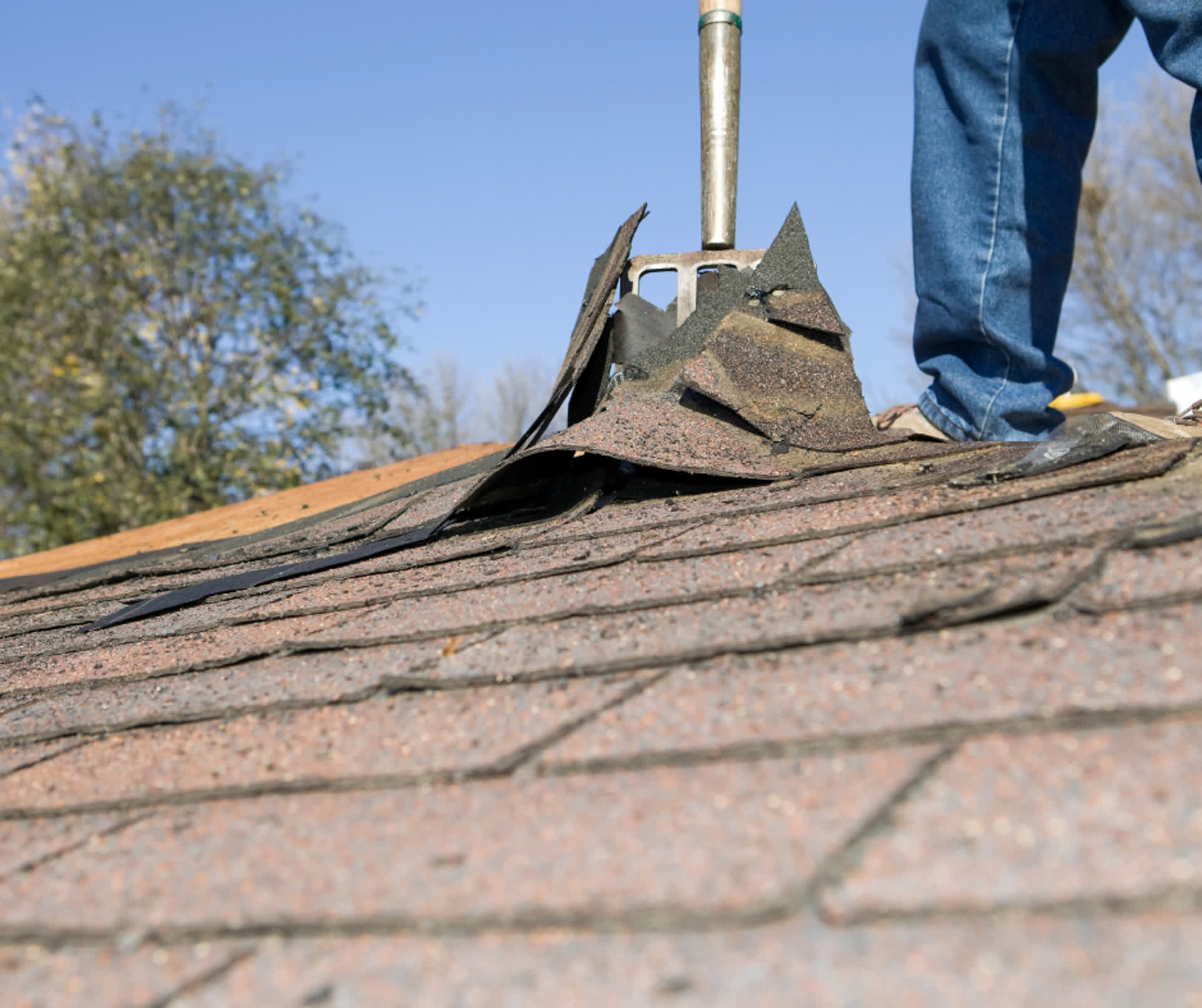 Contractor removing damaged shingles from roof