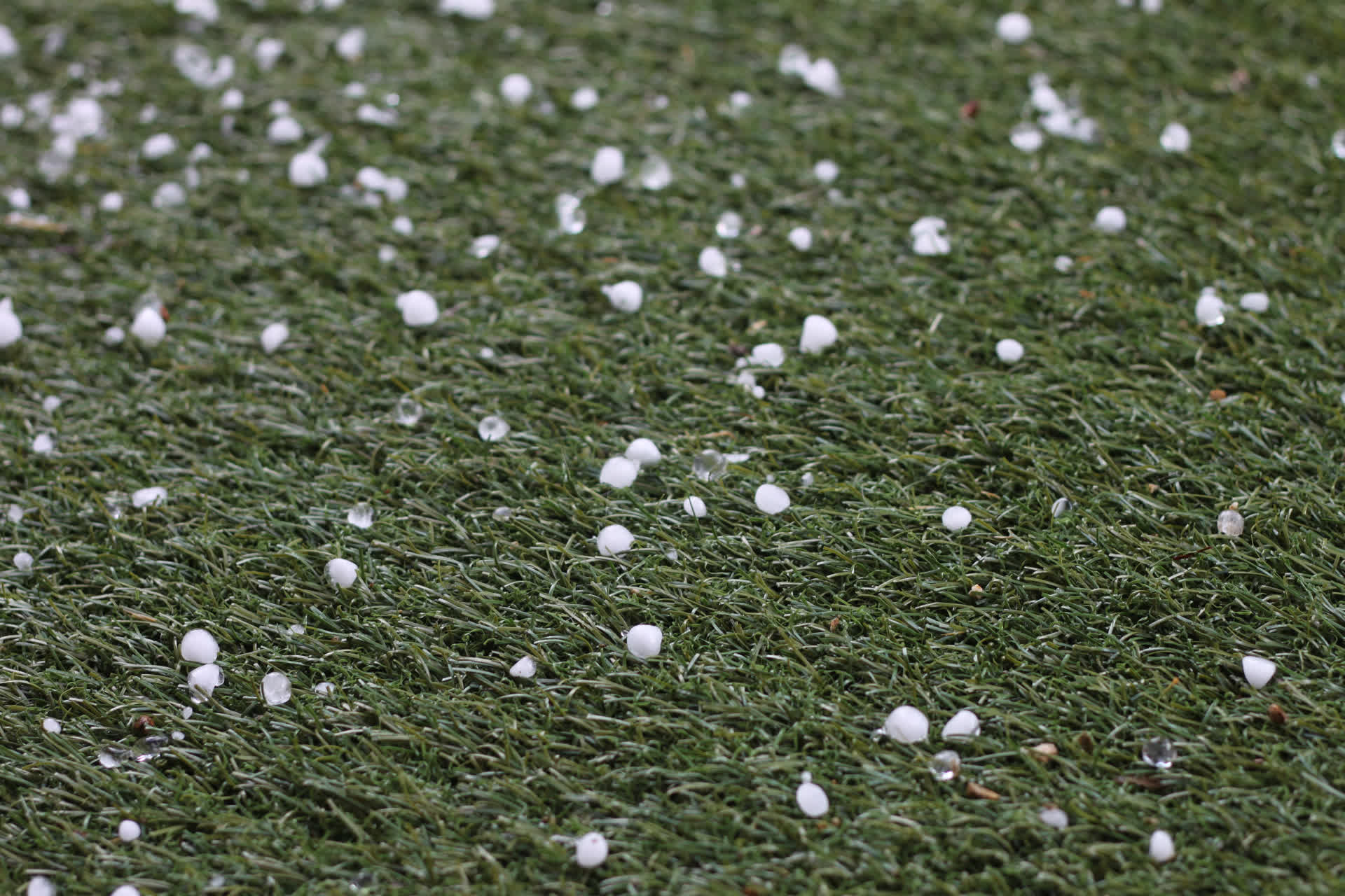 Hail damage visible on roof shingles